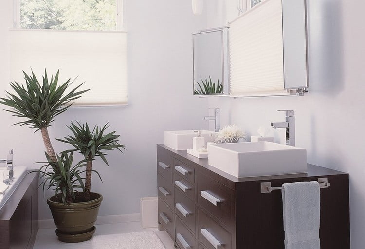 Растения в интерьере стали очередным трендом дизайна ванных комнат