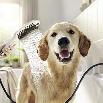 hansgrohe dog shower collection
